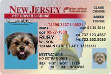 How to Get a Pet License