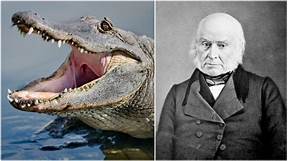 Which President Had a Pet Alligator?