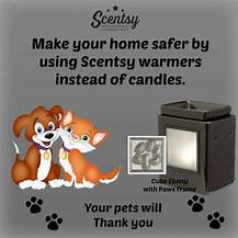 Is Scentsy Safe for Pets?