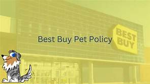 Is Best Buy Pet Friendly?