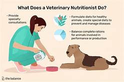 How to Become a Certified Pet Nutritionist