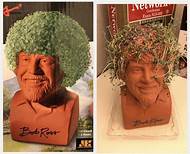 How Long Does a Chia Pet Last?