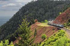 Is Amtrak Pet Friendly?