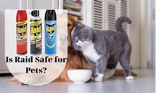 Is Raid Safe for Pets?