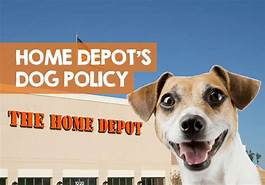 Does Home Depot Allow Pets: A Comprehensive Guide