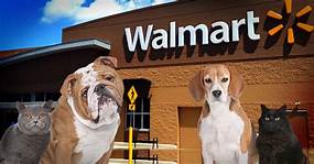 Do Walmart Allow Pets?