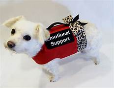 How to Make My Pet an Emotional Support Animal