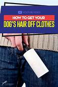 How to Get Pet Hair Off Clothes