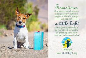 What to Send Someone Who Lost a Pet