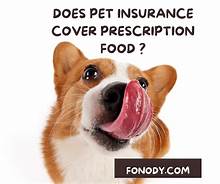 Does Pet Insurance Cover Prescription Food?