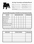 How to Get Pet Vaccination Records