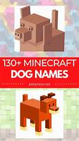 How to Name Pets in Minecraft