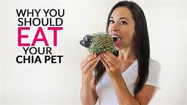 Are Chia Pets Safe for Cats?