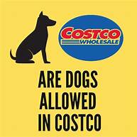 Are Pets Allowed in Costco?