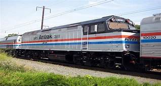 Does Amtrak Take Pets?