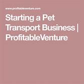 How to Start a Pet Transport Business