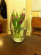 Are Tulips Pet Safe?