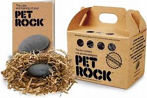 How Many Pet Rocks Were Sold?