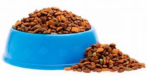 How Much Does Fresh Pet Food Cost?