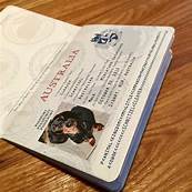 How much is pet passport