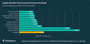 How Much Is Healthy Paws Pet Insurance? (Average Cost Guide)