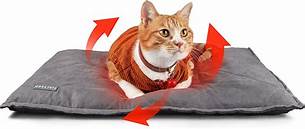 Do Self Heating Pet Beds Work?