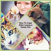 How to Cope After Losing a Pet