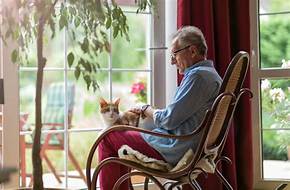 Does Assisted Living Allow Pets?