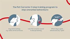 How to Use a Pet Corrector