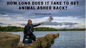 How Long Does it Take to Get Pet Ashes Back?