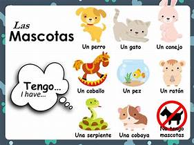 ¿Tienes Mascotas en Español?