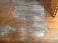 How to Remove Pet Urine Odor from Wood Floors