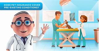 Does Nationwide Pet Insurance Cover Pre-Existing Conditions?