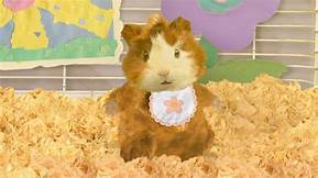 How It All Began: Wonder Pets