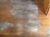 How to Clean Hardwood Floors Pet Urine