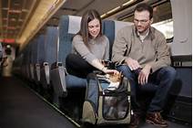 How to Add a Pet to an Amtrak Ticket