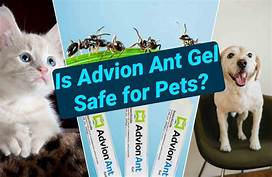 Is Advion Safe for Pets?