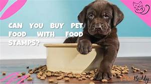 Can You Buy Pet Food on Food Stamps?