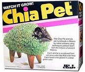 How Long Have Chia Pets Been Around?