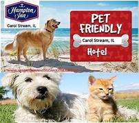 Are Hampton Inn Pet Friendly?