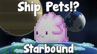 How to Ship Pets