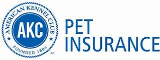 Is AKC Pet Insurance Good?