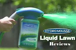 Is Hydro Mousse Safe for Pets?