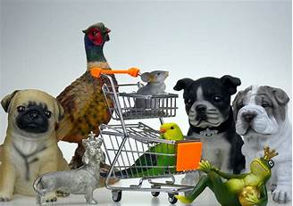 Can Pets Go in Walmart?