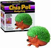 How Much Are Chia Pets?