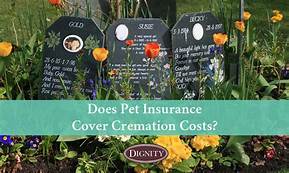 Does Pet Insurance Cover Cremation?