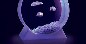 Can I Have a Jellyfish as a Pet?