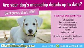 How to Update Pet Microchip