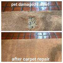 How to Repair Pet Damaged Carpet