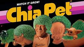 How Much Does a Chia Pet Cost?